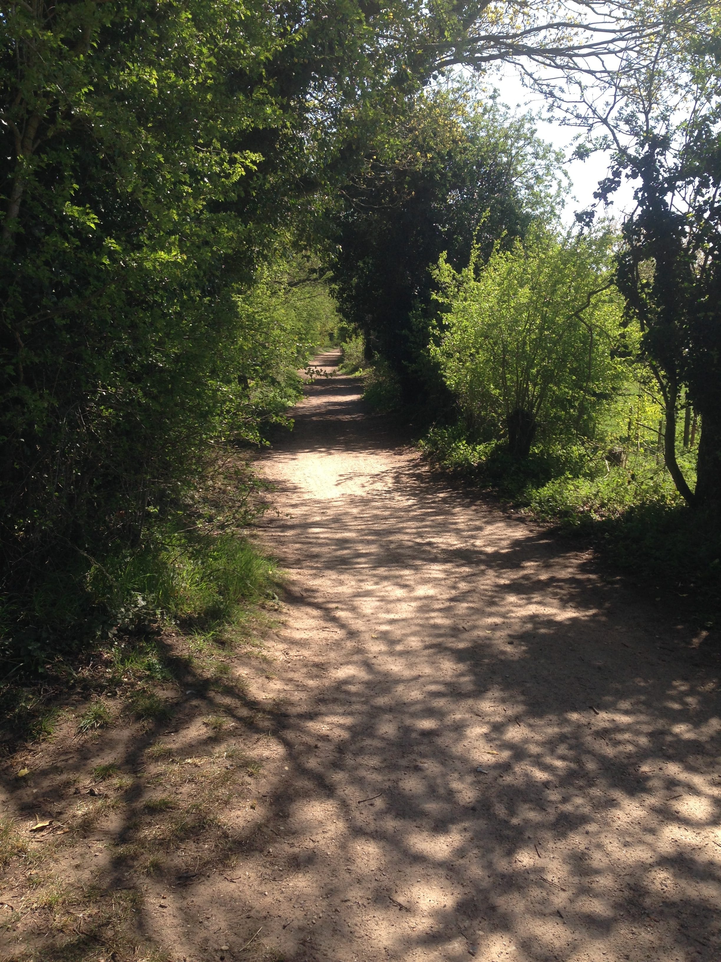 Footpath-Norwich UK