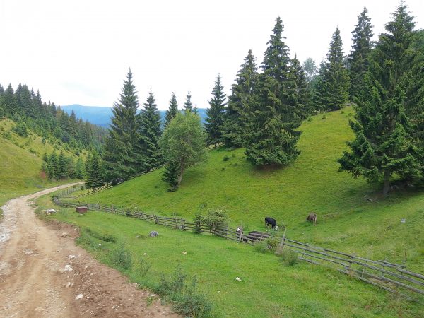 Fundatica-how much you know about Romania's most beautiful village ...