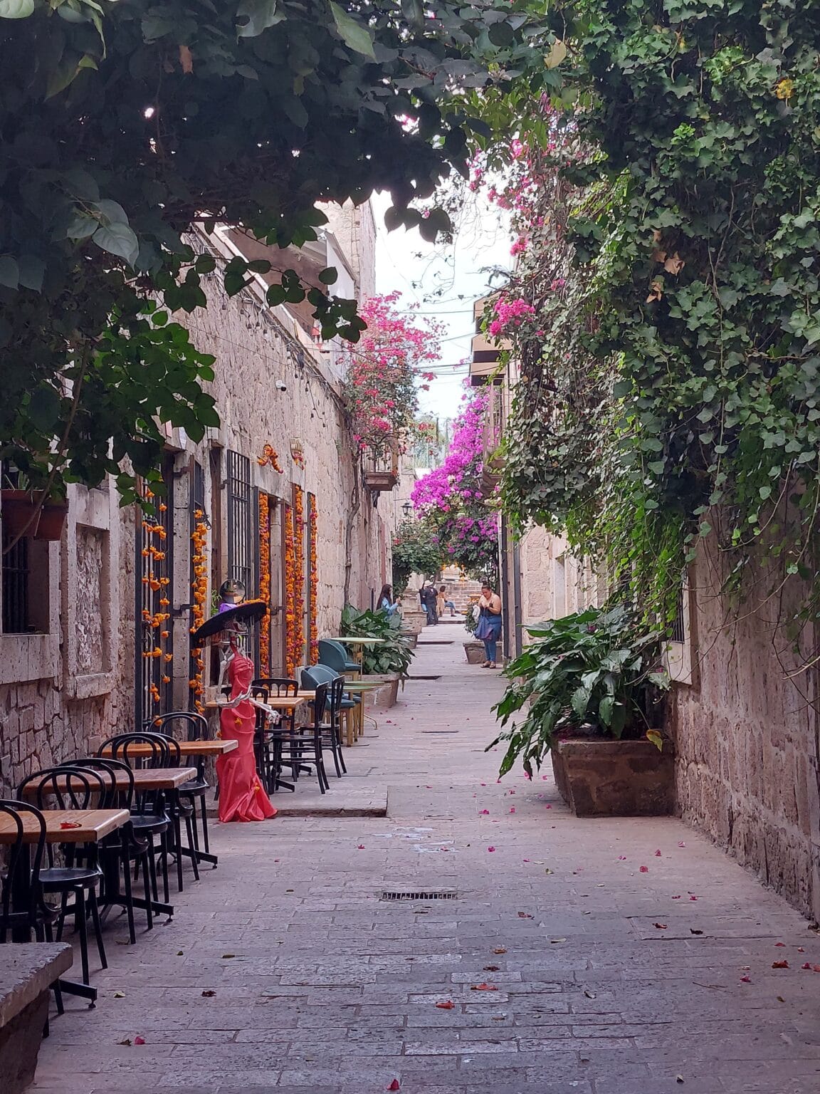 What makes Morelia the besthidden gem to visit in Mexico? The Next